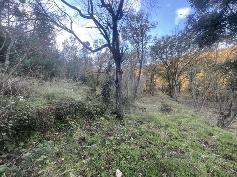 Terrain constructible - 2 000 m²