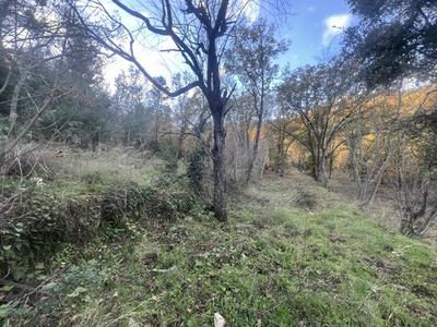 Terrain constructible - 2 000 m²