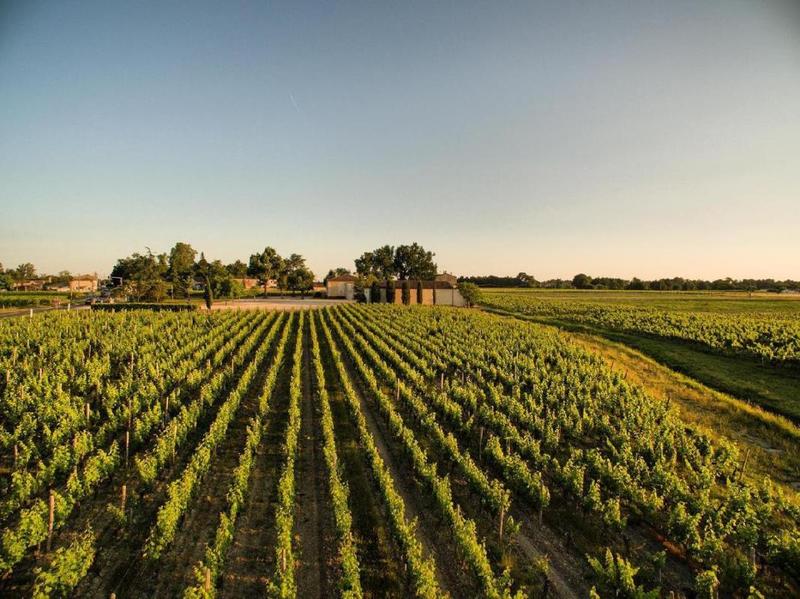 Château - 600 m² - 19 pièces