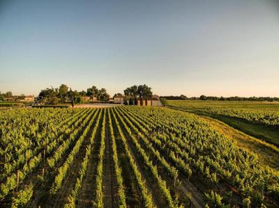 Château - 600 m² - 19 pièces