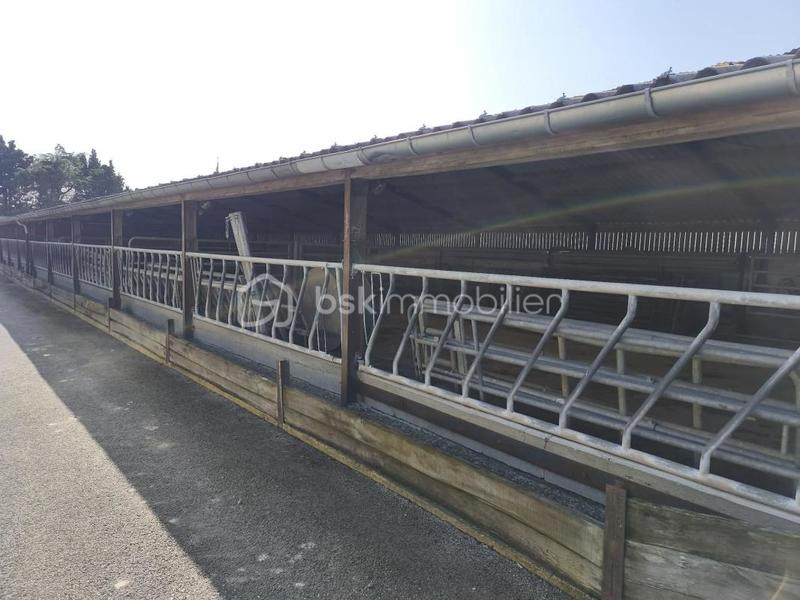 Corps de ferme - 495 m² - 1 pièce