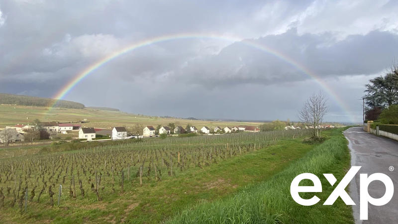 Viager - Maison - 116 m² - 5 pièces