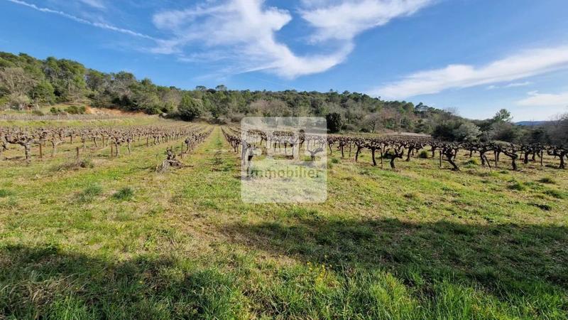 Villa - 232 m² - 11 pièces