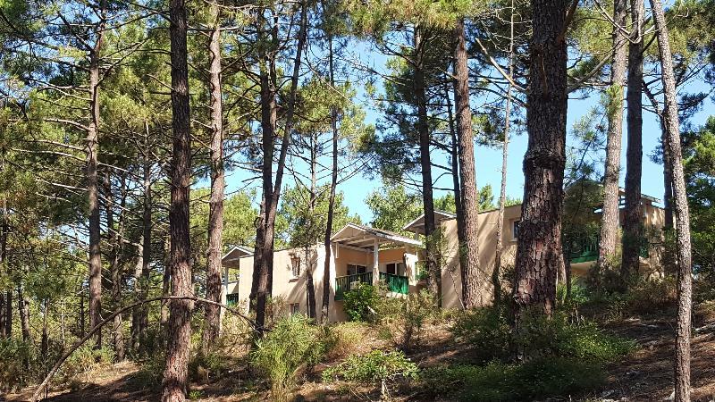 Appartement - 30 m² - 2 pièces