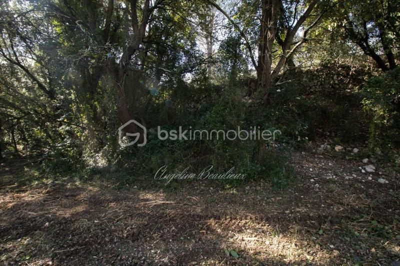 Terrain constructible - 1 881 m²