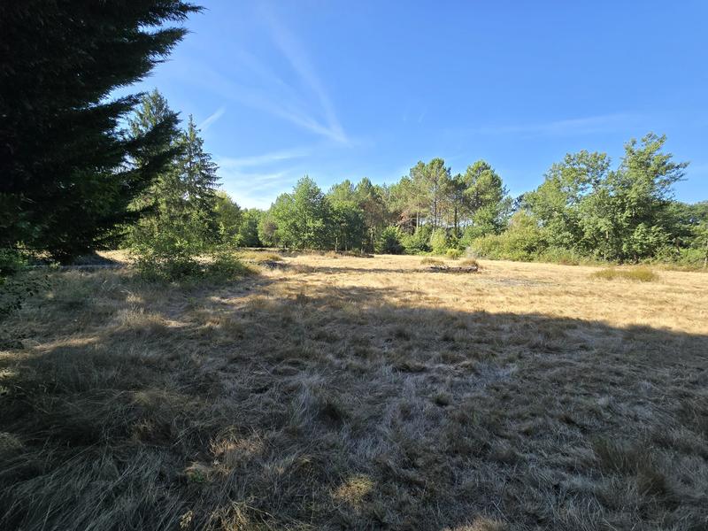 Maison de domaine - 260 m² - 7 pièces