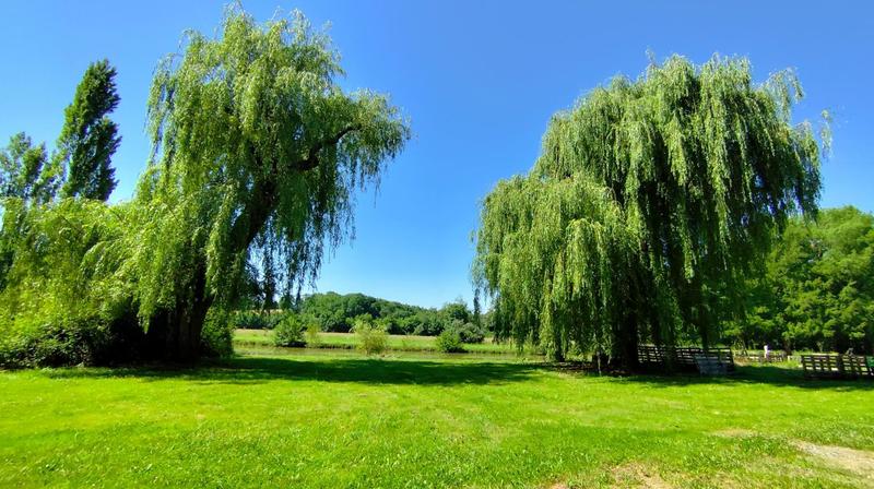 Moulin - 300 m² - 6 pièces