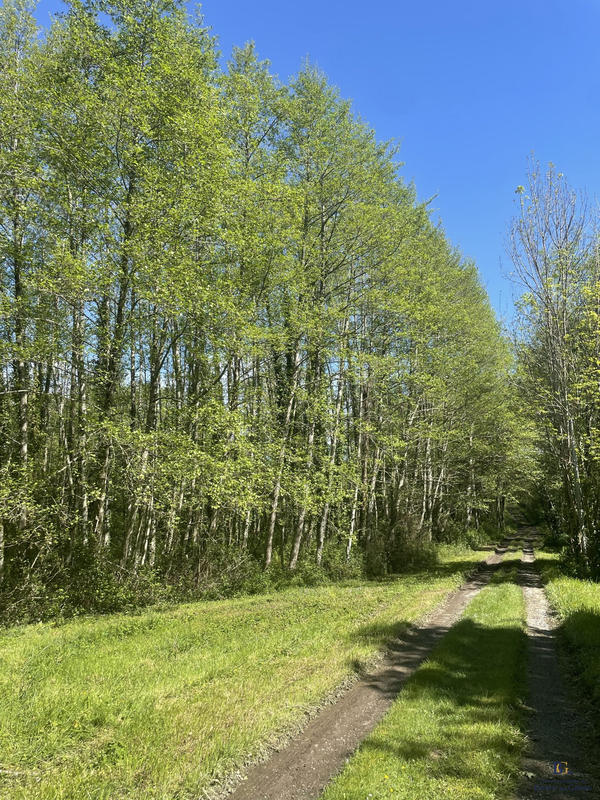 Maison - 190 m² - 7 pièces