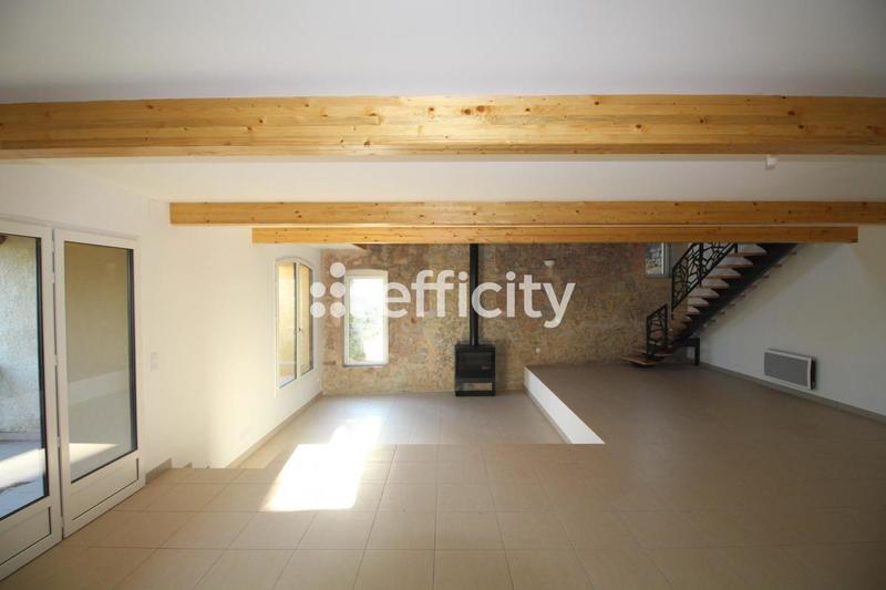 Maison en pierre - 201 m² - 5 pièces