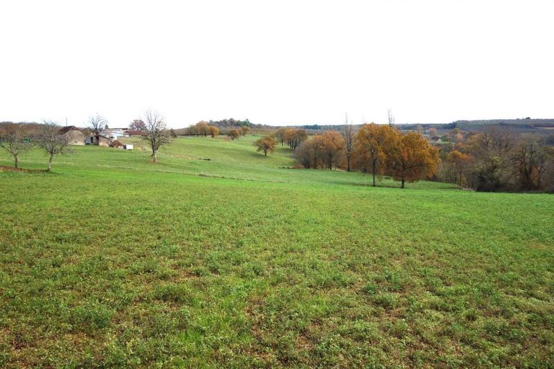 Terrain - 13 556 m²