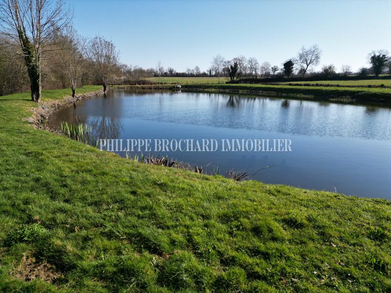 Terrain de loisirs - 6 000 m²