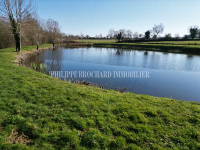 Terrain de loisirs - 6 000 m²