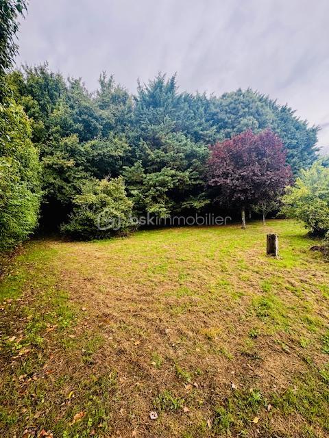 Maison de village - 100 m² - 6 pièces