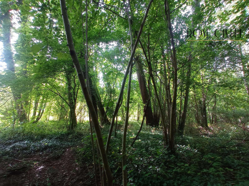 Terrain de loisirs - 4 800 m²