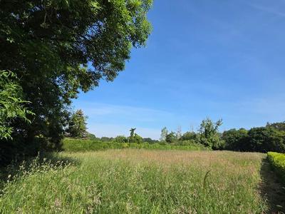 Terrain constructible - 1 220 m²