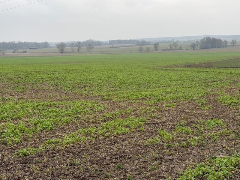 Terrain constructible - 926 m²