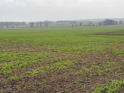 Terrain constructible - 926 m²