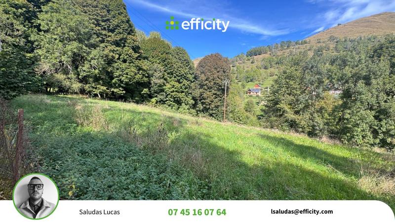 Terrain - 3 785 m²