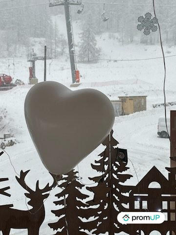 Châlet - 303 m² - 11 pièces