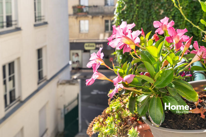 Appartement - 50 m² - 2 pièces