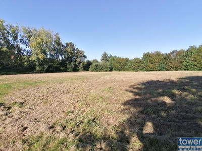 Terrain - 3 879 m²