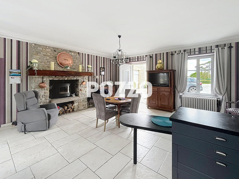 Maison - 300 m² - 15 pièces