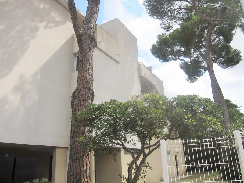 Appartement - 30 m² - 2 pièces