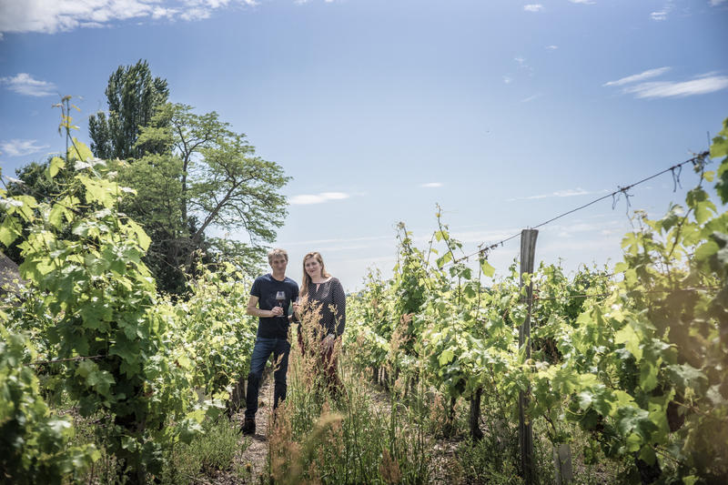 Portes ouvertes au domaine du Fondis