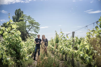 Portes ouvertes au domaine du Fondis