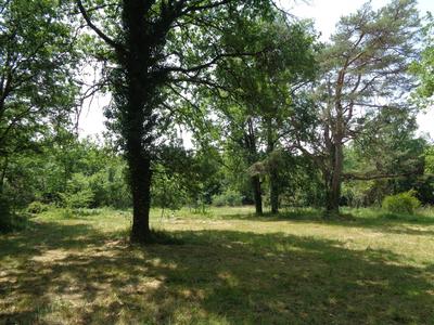 Maison traditionnelle - 120 m² - 5 pièces