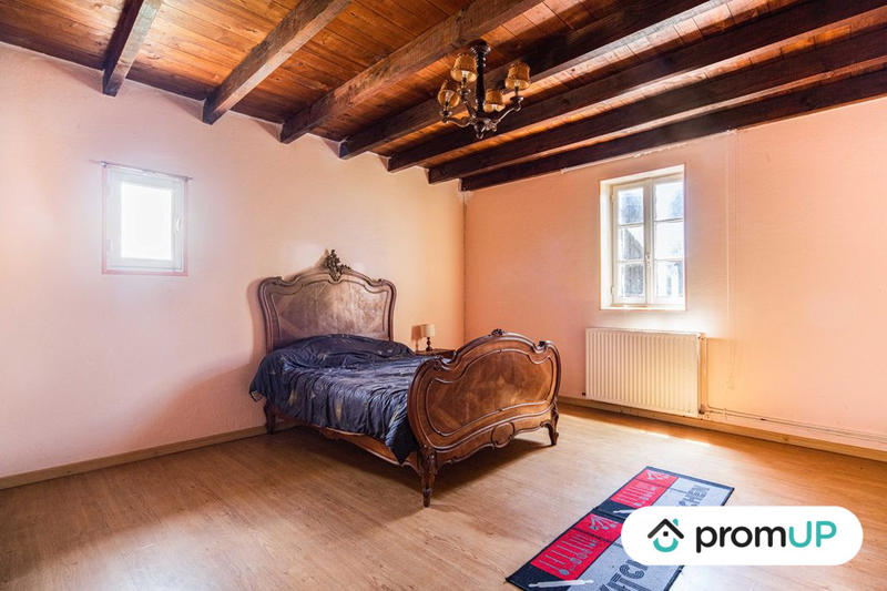 Maison ancienne - 320 m² - 7 pièces