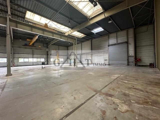 Entrepôt - 2 816 m²