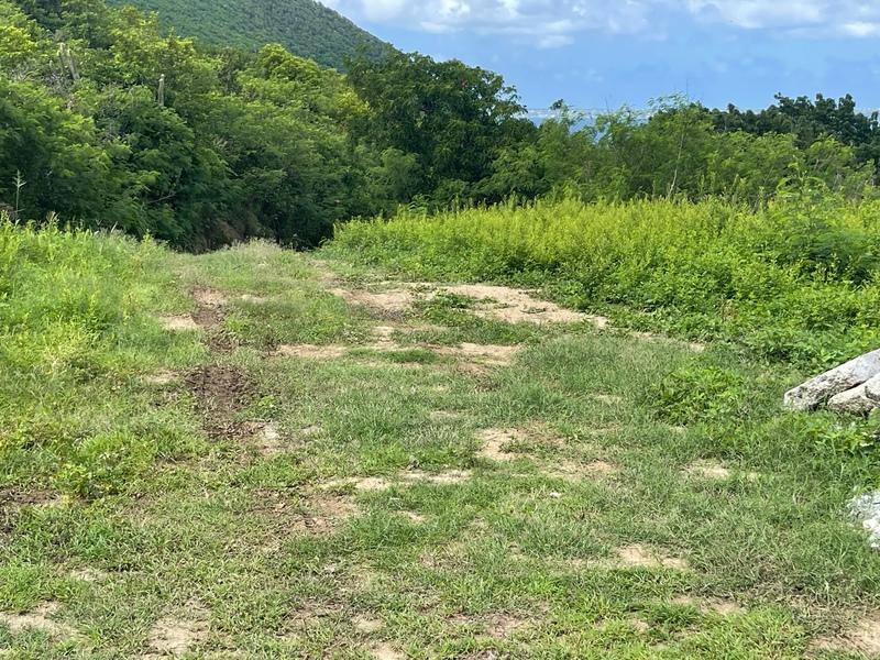 Terrain constructible - 1 504 m²