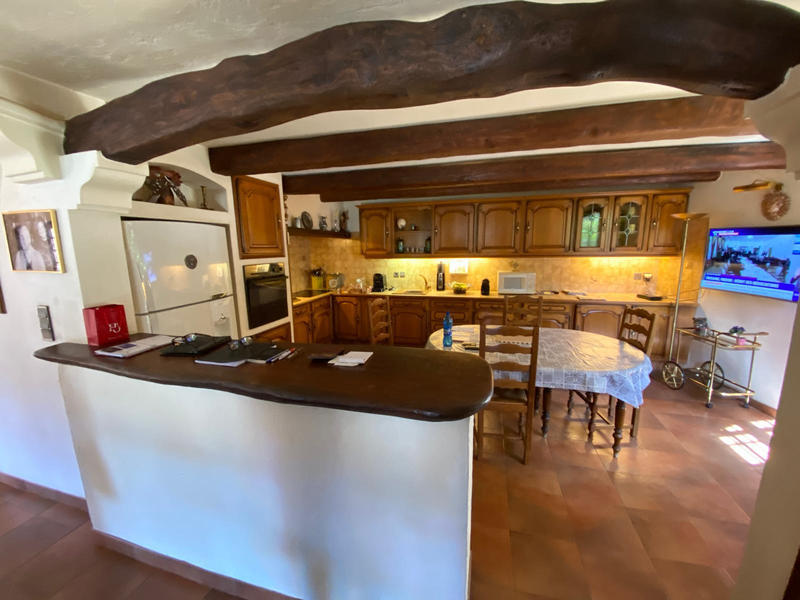 Viager - Maison - 318 m² - 7 pièces