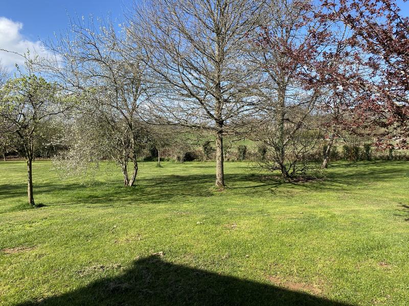 Maison ancienne - 213 m² - 9 pièces