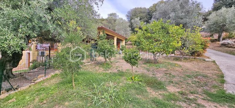 Maison - 246 m² - 9 pièces