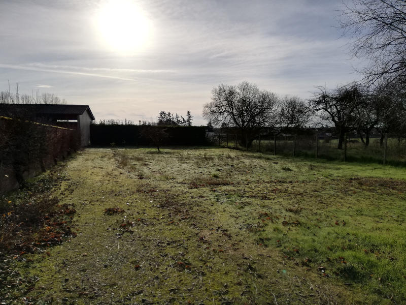 Local d'activité / Entrepôt - 150 m²