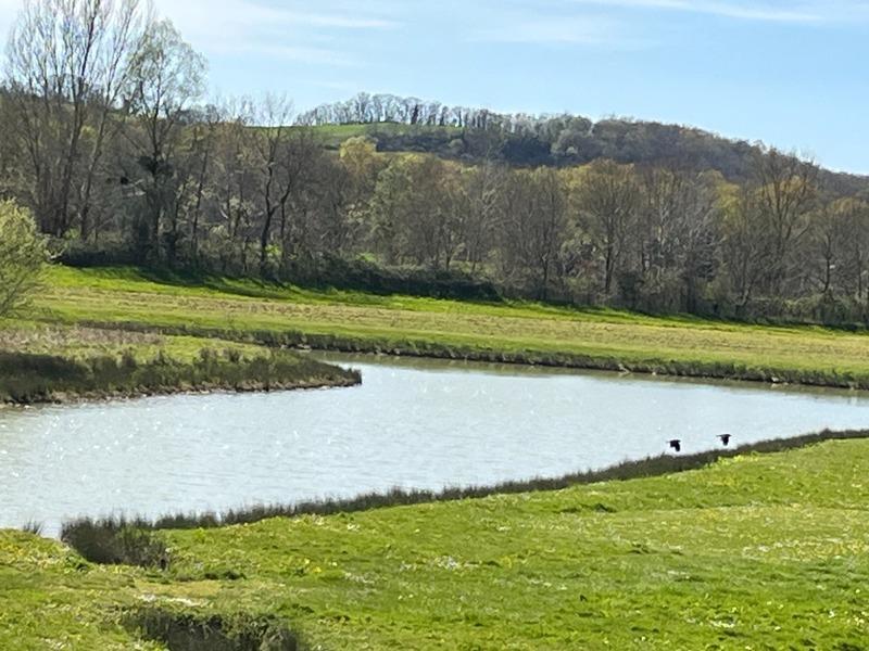 Château - 1 100 m² - 15 pièces