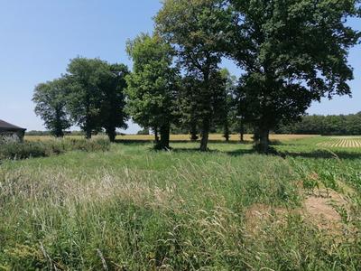 Terrain constructible - 2 000 m²