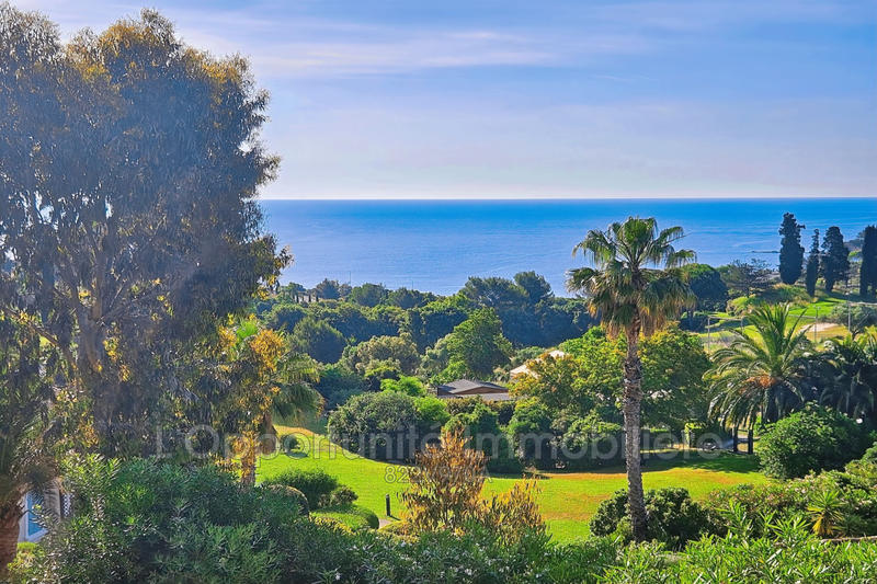 Appartement - 22 m² - 1 pièce