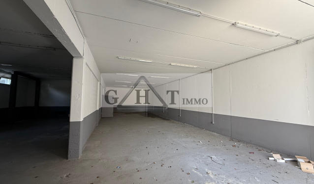 Entrepôt - 250 m²