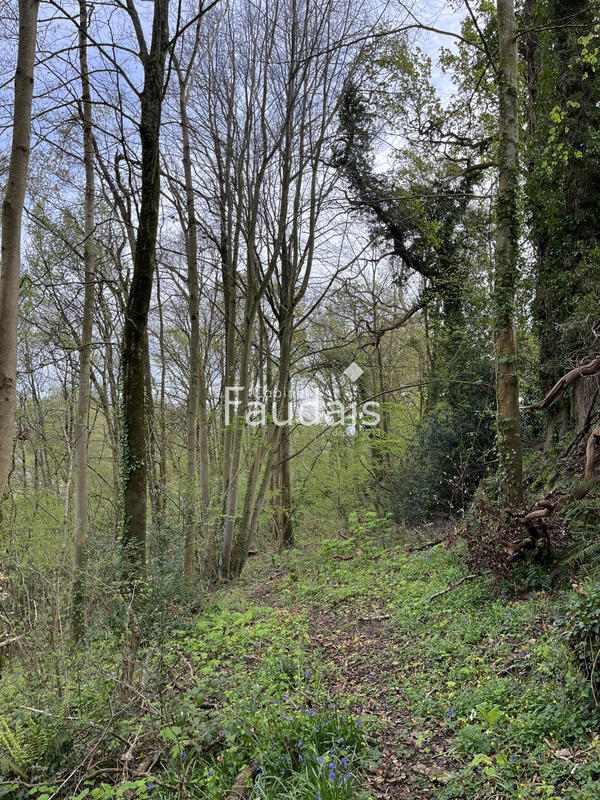 Terrain de loisirs - 3 747 m²