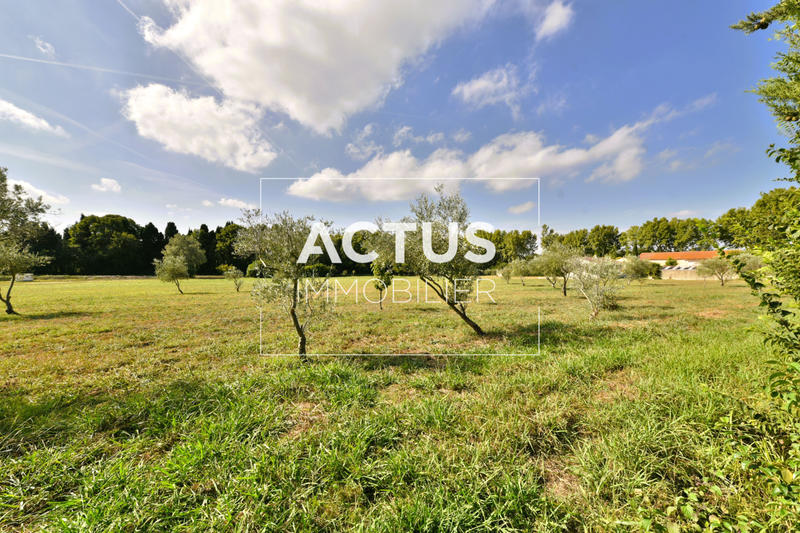 Propriété - 295 m²