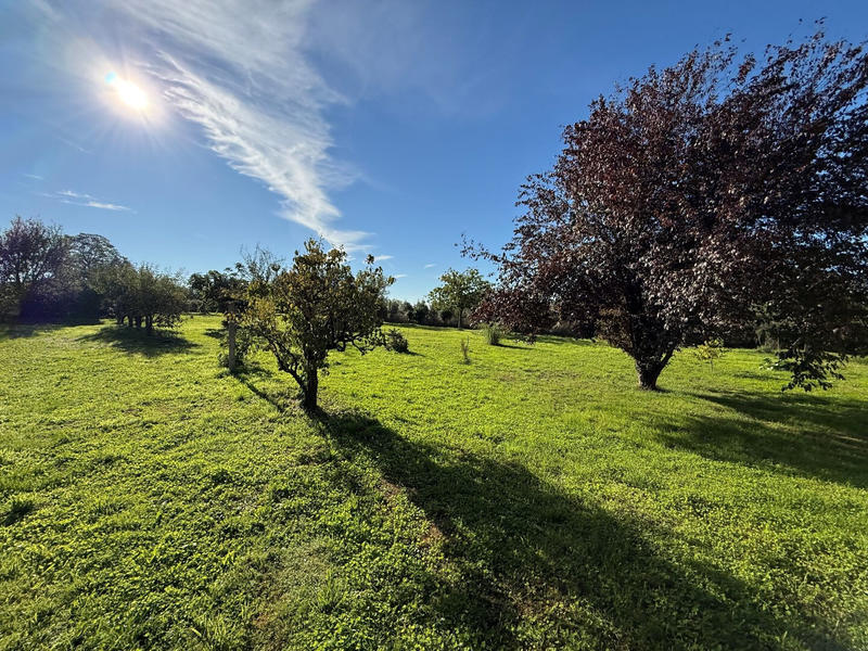 Maison - 240 m² - 10 pièces