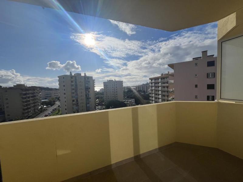 Studio - 26 m² - 1 pièce