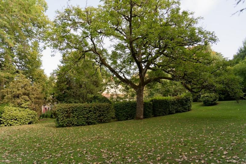 Maison - 360 m² - 8 pièces