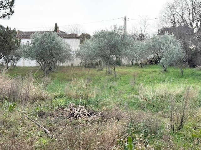Terrain constructible - 1 147 m²