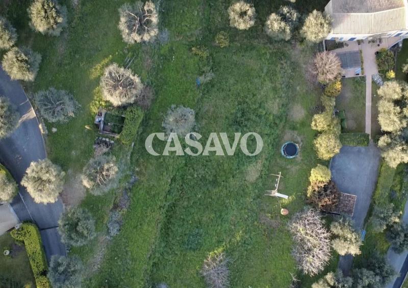 Terrain constructible - 3 337 m²