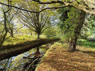 Maison - 325 m² - 11 pièces