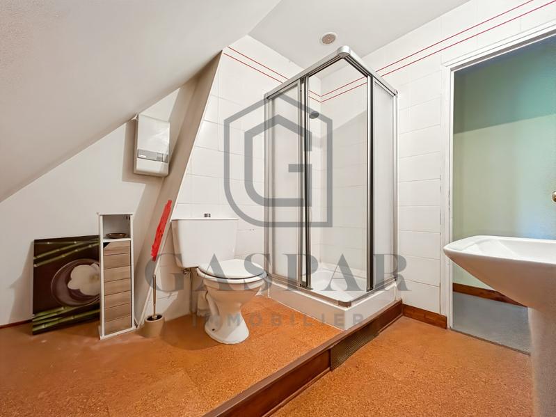 Maison ancienne - 213 m² - 9 pièces